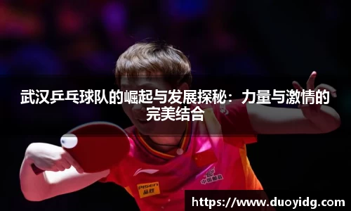 武汉乒乓球队的崛起与发展探秘：力量与激情的完美结合